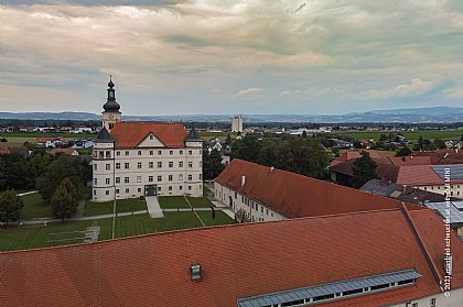 Wanderung mit Alpakas
