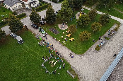 Spaziergang mit Alpakas